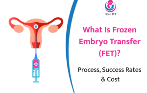 Frozen Embryo Transfer (FET): Process, Success Rates & Cost | Dr. Priti Shyamkul-Sonawane